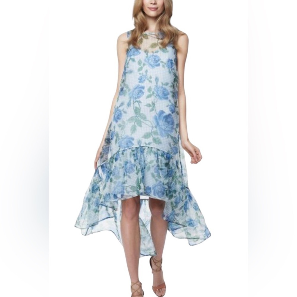 Erin Fetherston New Floral Hydrangea Trianon Maxi Dress Size 8